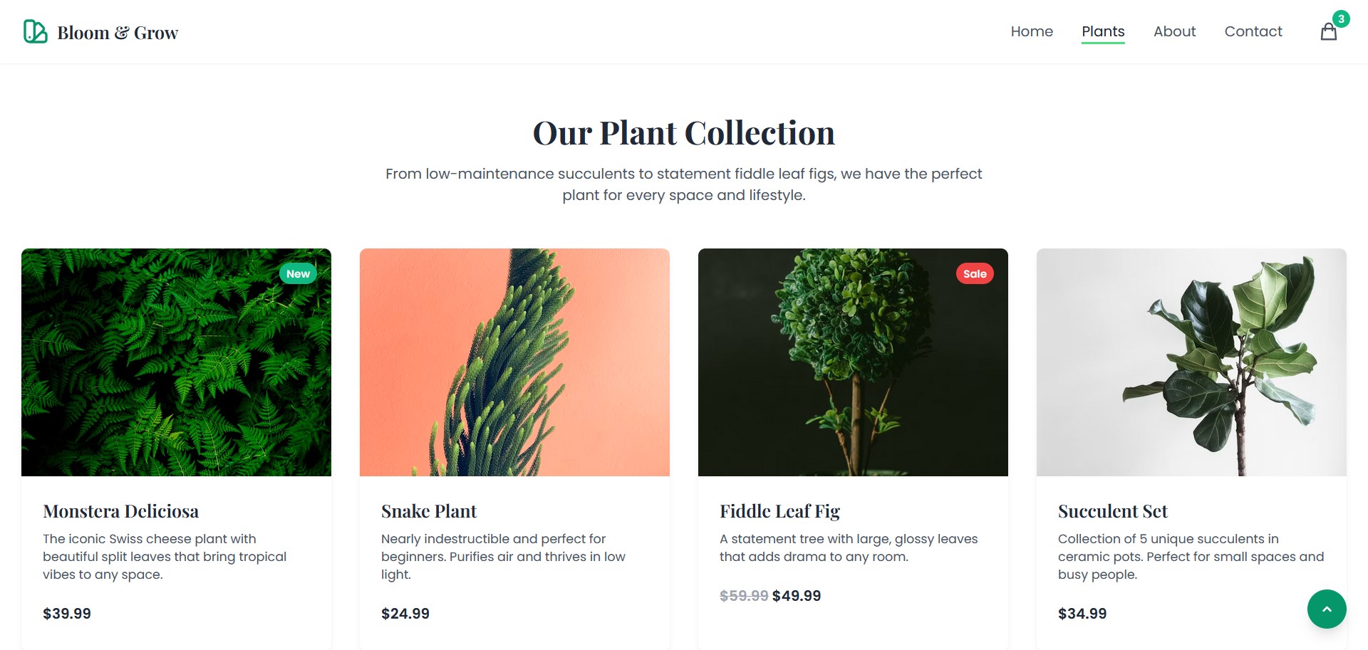 Designer modern porfolio template